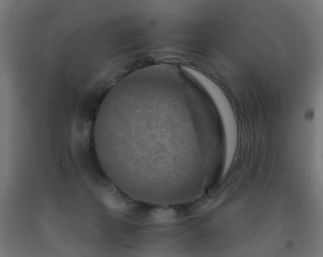 X0000093150271200709261452
