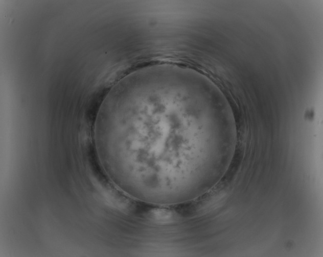 X0000093150272200709261452
