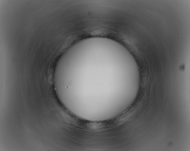 X0000093150273200709261452