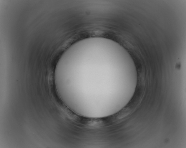 X0000093150274200709261452