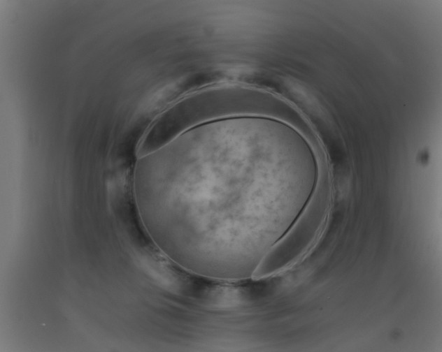 X0000093150276200709261452