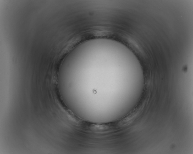 X0000093150277200709261452