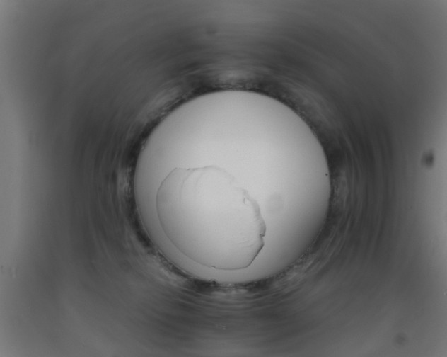 X0000093150278200709261452