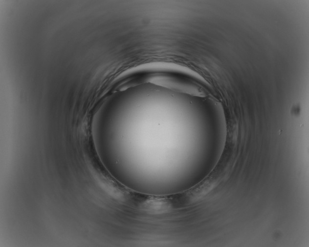 X0000093150280200709261452