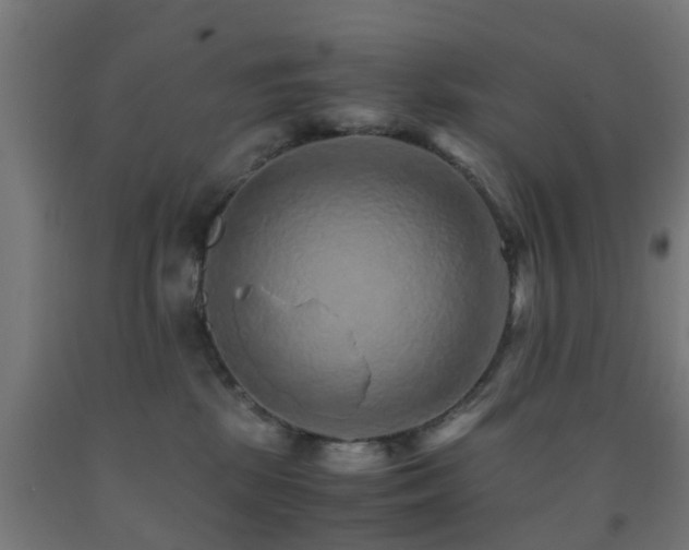 X0000093150281200709261452
