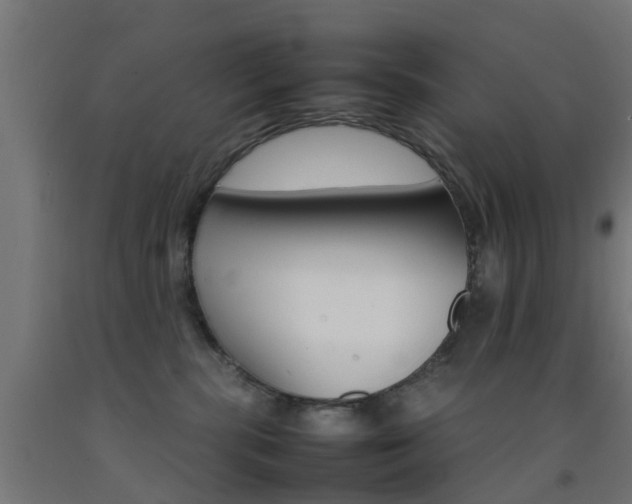 X0000093150283200709261452