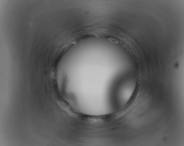X0000093150284200709261452