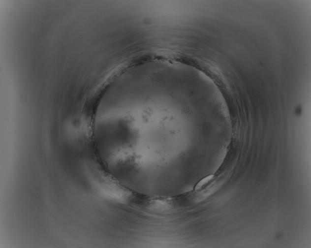 X0000093150285200709261452