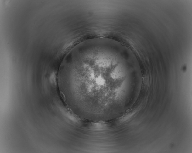 X0000093150286200709261452