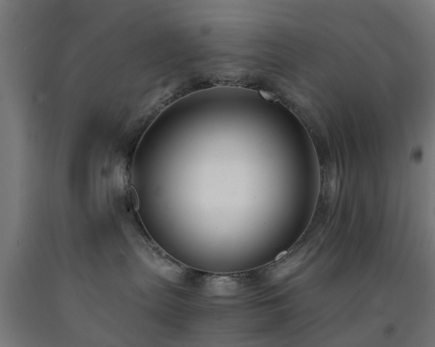 X0000093150287200709261452
