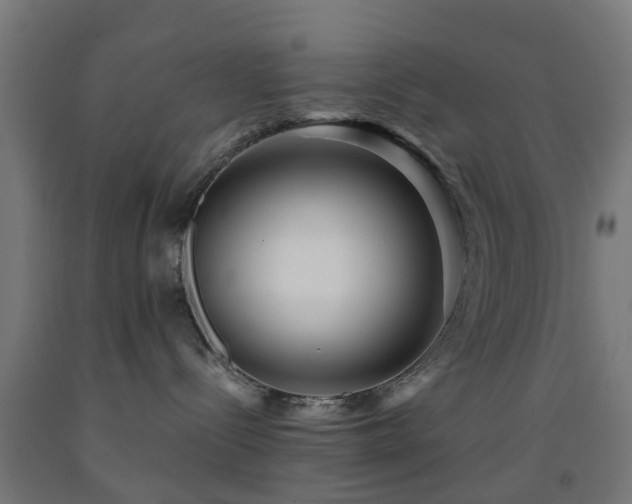 X0000093150288200709261452