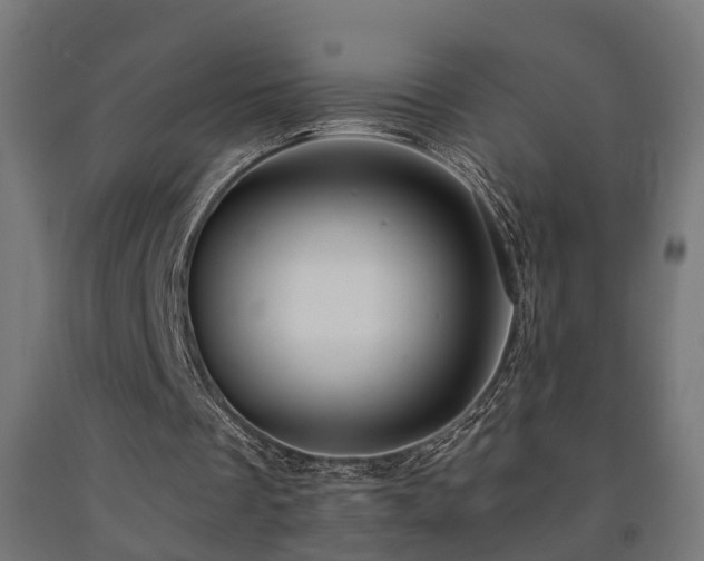 X0000093150289200709261451