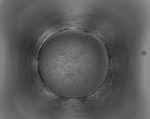 X0000093150290200709261451