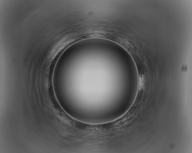 X0000093150291200709261451