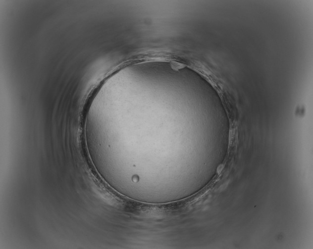 X0000093150293200709261451