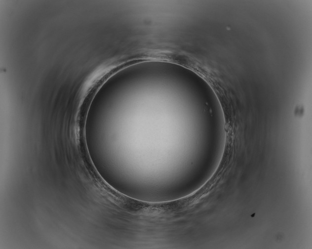X0000093150294200709261451