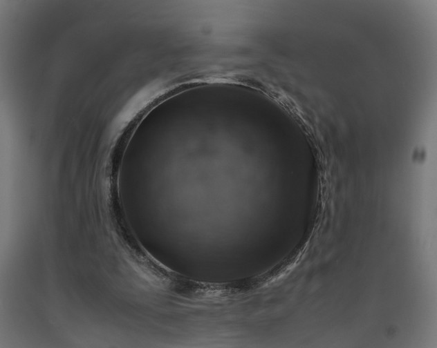 X0000093150295200709261451
