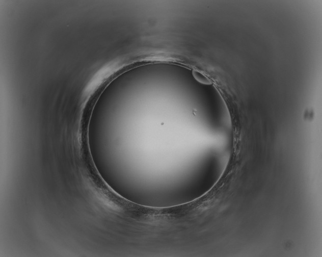 X0000093150296200709261451