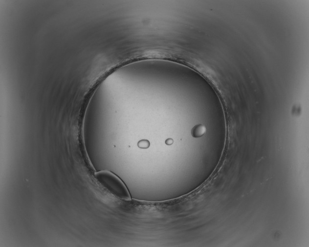 X0000093150297200709261451