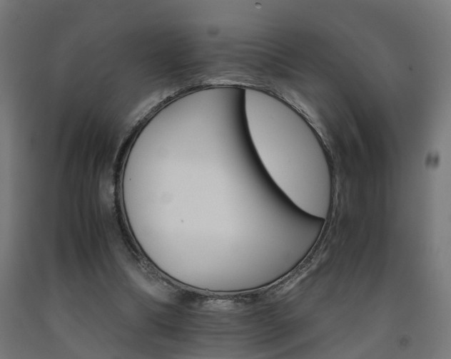 X0000093150298200709261451