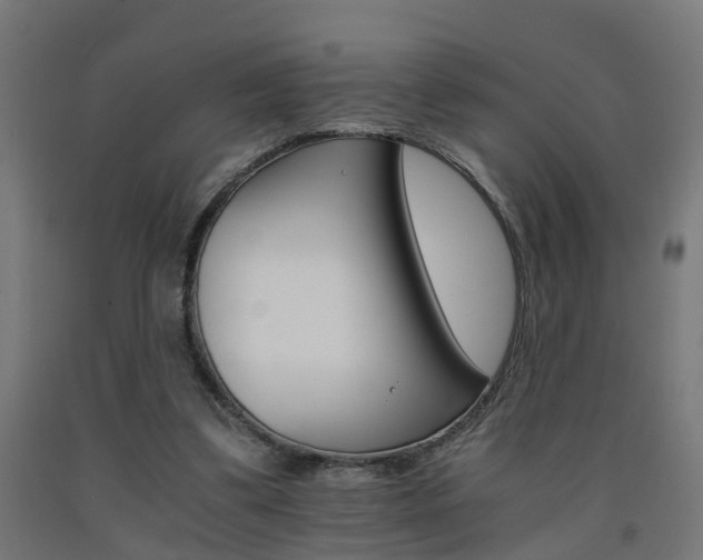 X0000093150299200709261451