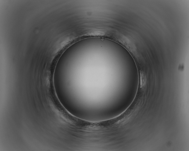 X0000093150300200709261451