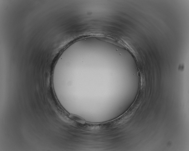 X0000093150301200709261451