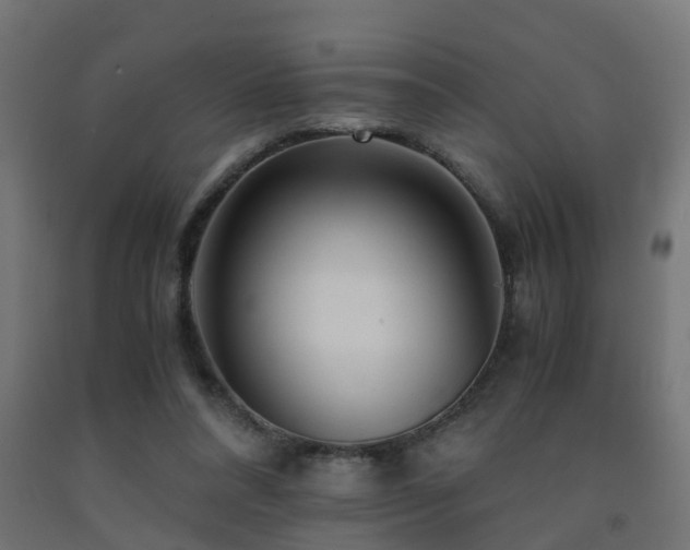 X0000093150304200709261451