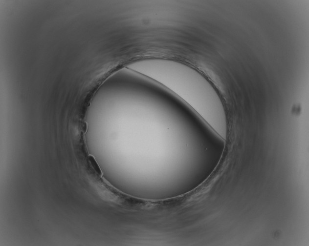X0000093150305200709261451