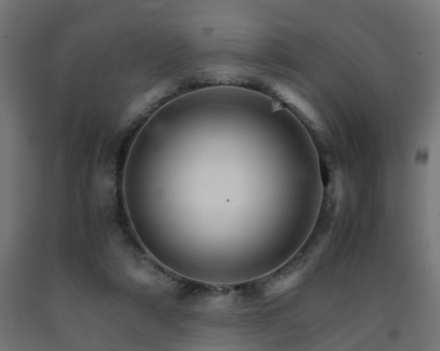 X0000093150306200709261451