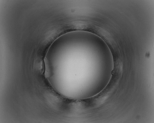 X0000093150307200709261451