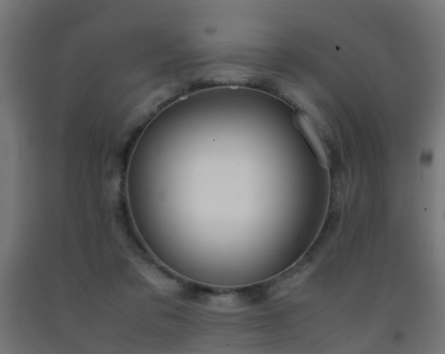 X0000093150309200709261451
