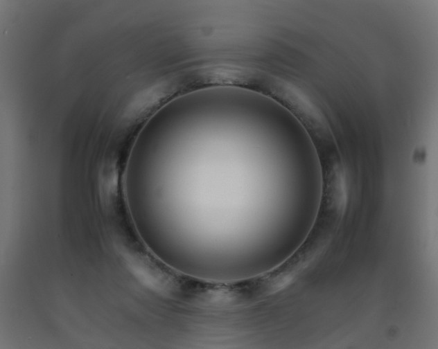 X0000093150310200709261451