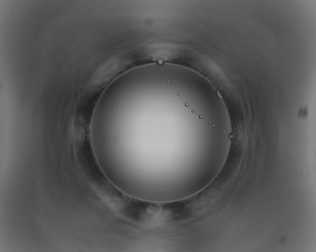 X0000093150311200709261451