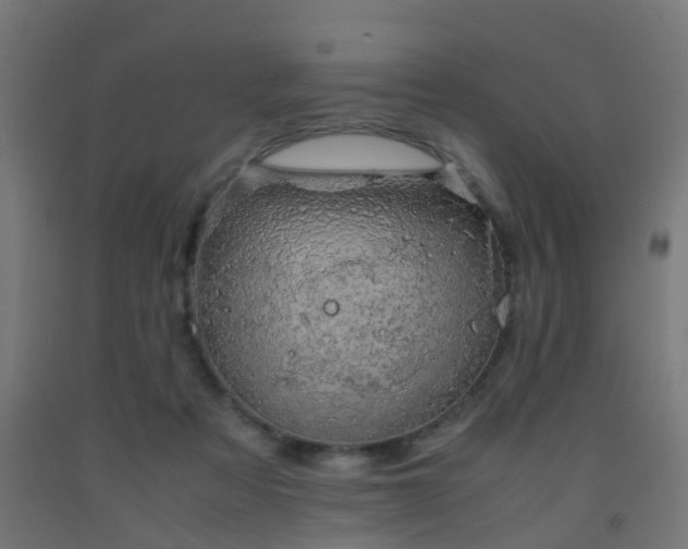 X0000093150313200709261451