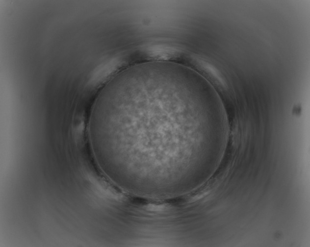 X0000093150314200709261451