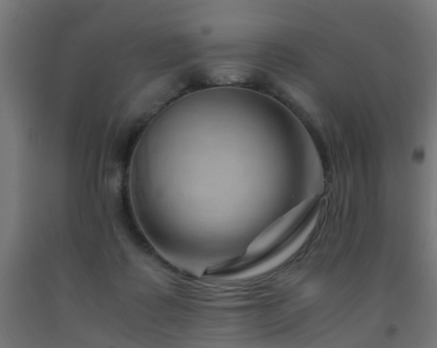 X0000093150315200709261451
