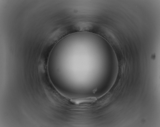X0000093150316200709261451