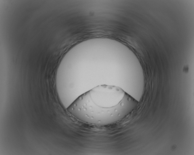 X0000093150317200709261451