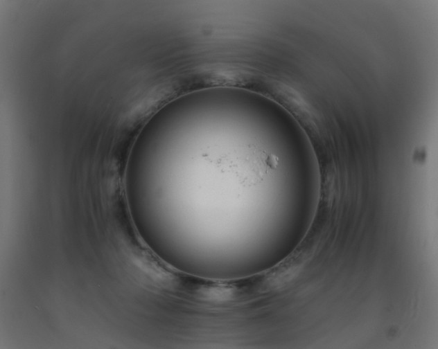 X0000093150318200709261451