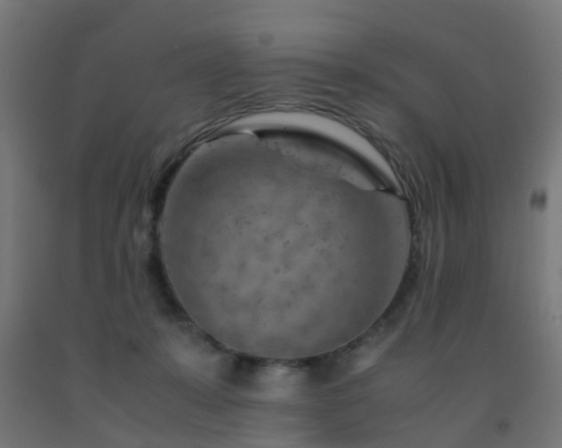 X0000093150319200709261451