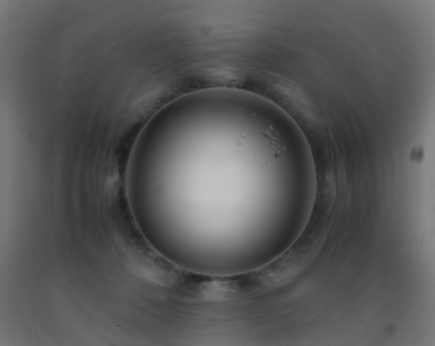 X0000093150320200709261451