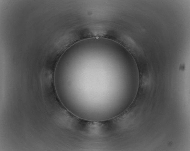 X0000093150321200709261451