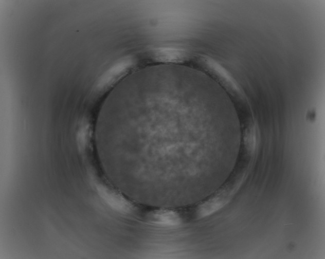 X0000093150322200709261451