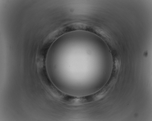 X0000093150323200709261451