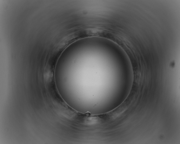 X0000093150324200709261451