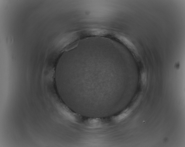X0000093150325200709261451