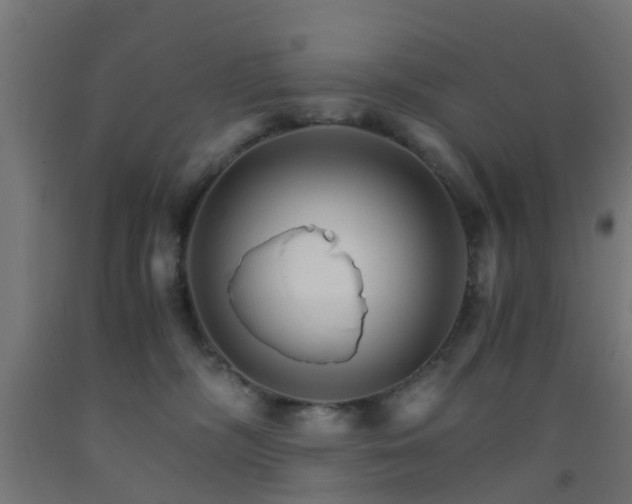 X0000093150326200709261451