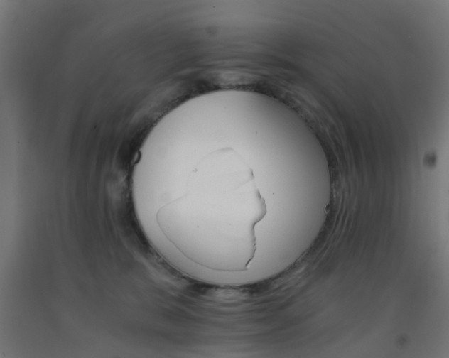 X0000093150327200709261451