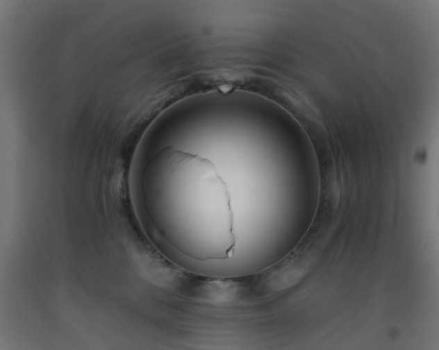 X0000093150328200709261451